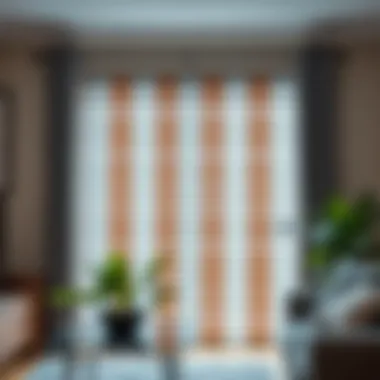 Plastic Valance Clips for Vertical Blinds: Comprehensive Guide Summary Plastic Valance Clips for Vertical Blinds: Comprehensive Guide Summary