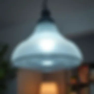 Sustainable materials used in pendant lamp shades