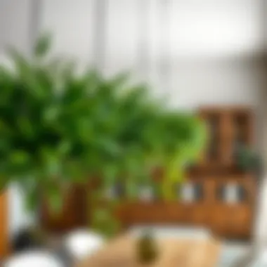 Hanging Fake Plants Over Dining Area Close-up of hanging fake plants positioned over a dining area, adding a touch of greenery