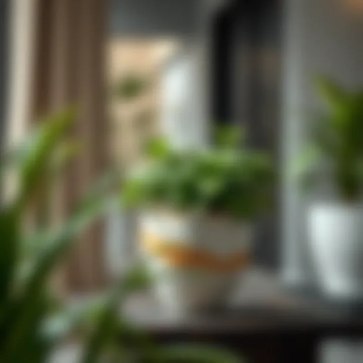 Elegant ceramic planter showcasing modern design