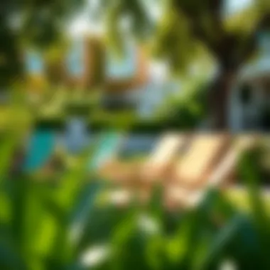 Optimizing Outdoor Space with Lawn Chairs Lawn chairs arranged in a sunny outdoor setting