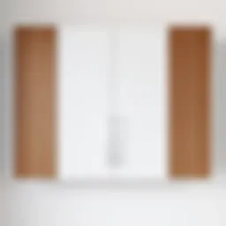 Sleek modern wall mounted cabinet with intricate wood grain