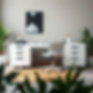 The Functional Aesthetic of White Modern Desks Summary