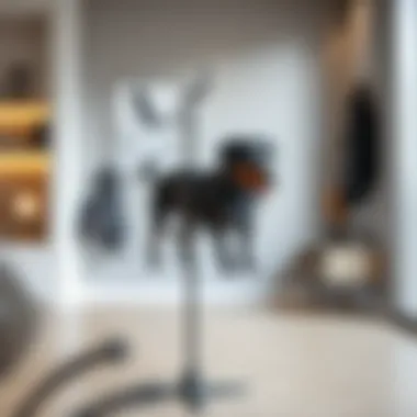 Modern metal dog coat rack in a contemporary setting