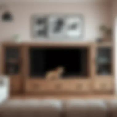 Blending Style and Functionality Stylish entertainment center with integrated dog cage