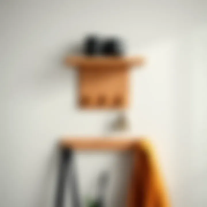 Functional key rack holder with hooks and a shelf