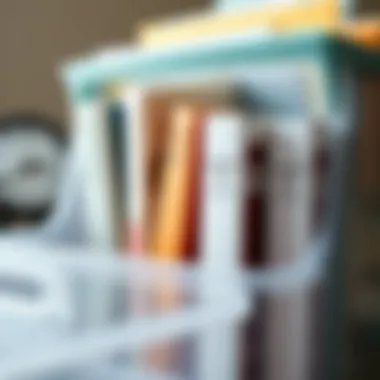 Categorized Documents in File Organizer Different categories of documents categorized in a plastic file organizer for effortless access