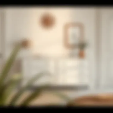 Minimalist white dresser complemented by decorative elements