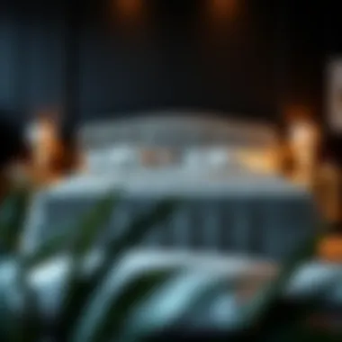 The Velvet Upholstered King Bed: A Comprehensive Exploration Summary