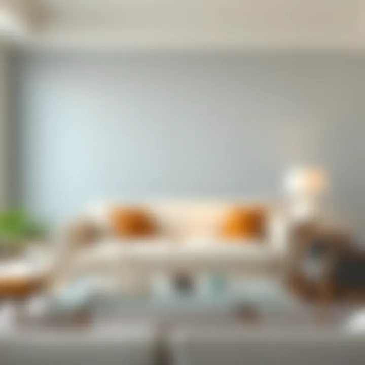 Elegant Loveseat Slipcover in Modern Living Room Elegant loveseat slipcover in a modern living room setting