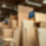 A variety of plywood sheets displayed at Lowe's