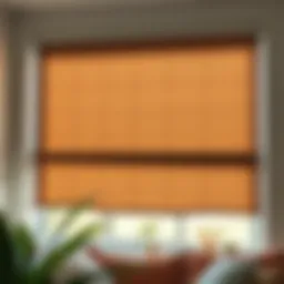 Understanding Roller Shades Cost: A Comprehensive Guide Introduction